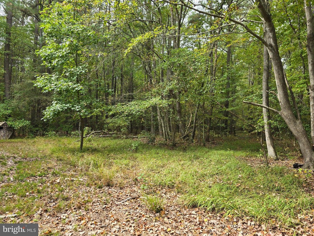 Picture 20