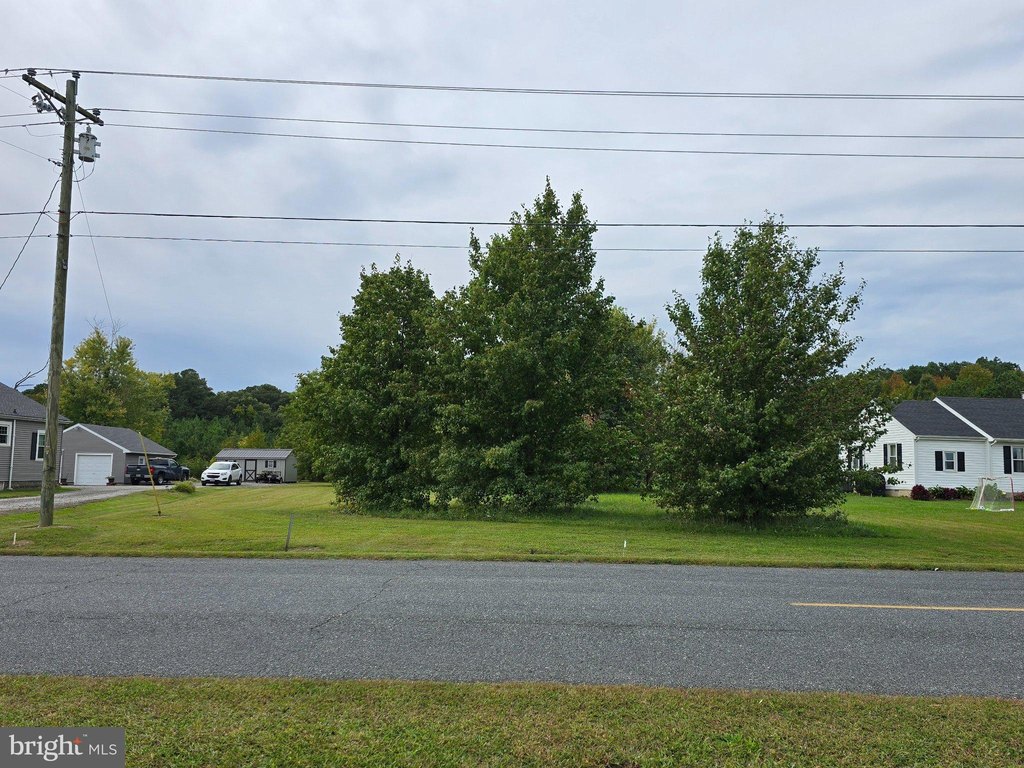 Picture 27