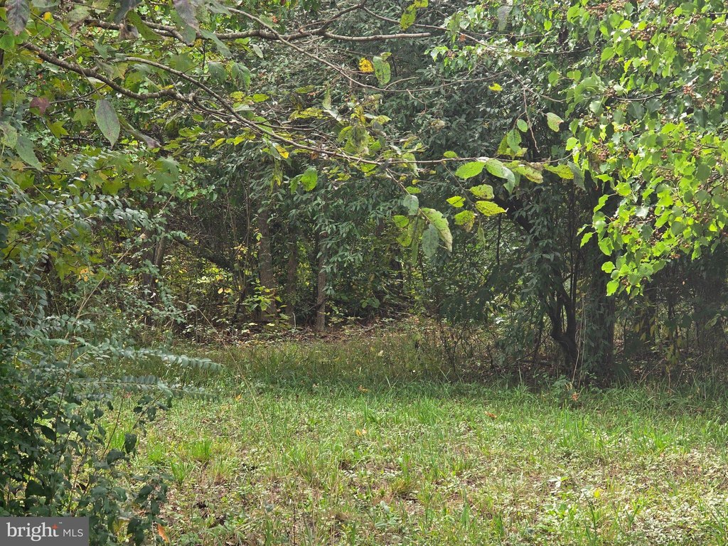 Picture 26