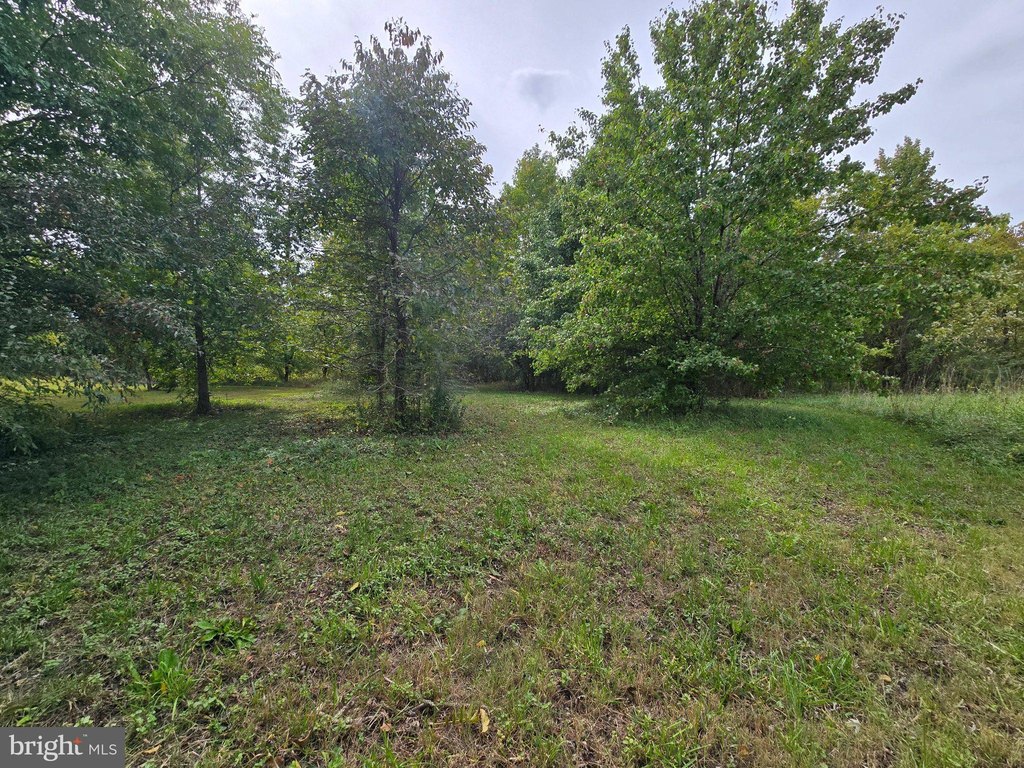 Picture 25