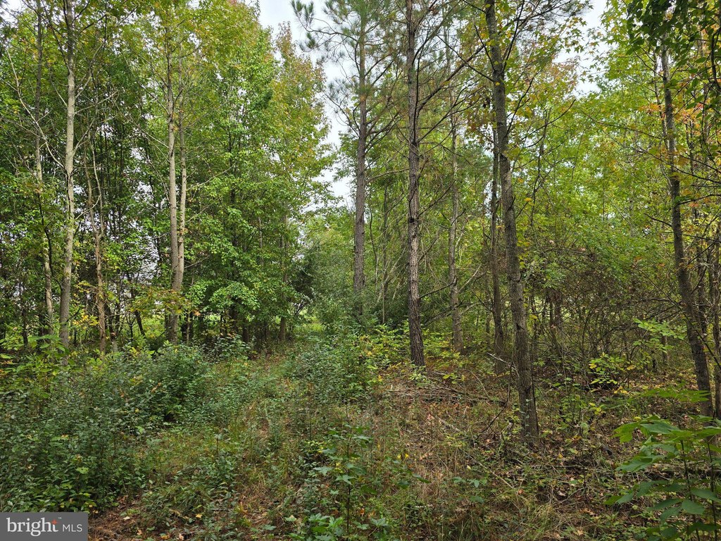Picture 24