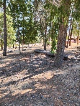 Land, Kelseyville, CA