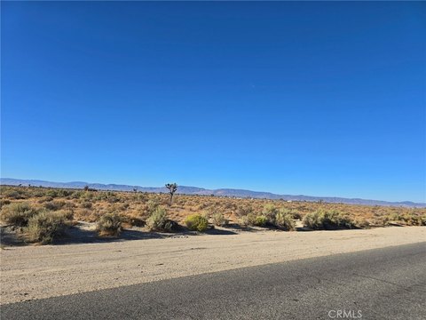 Lancaster Land/Lot Opportunity