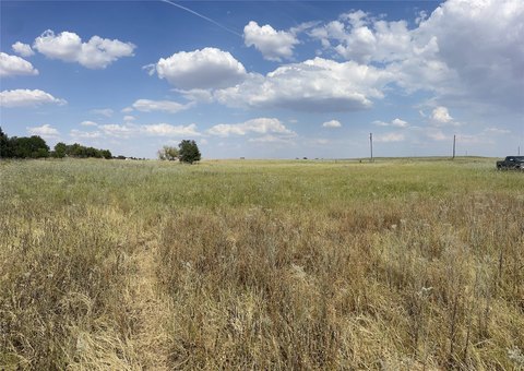 Residential Land with Large Oaks