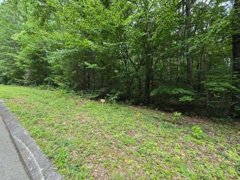 LAND - Dunlap, TN