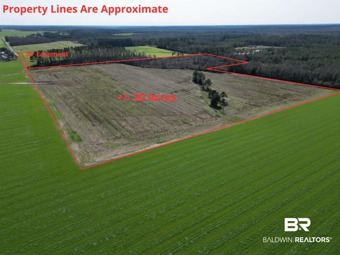 Level Agricultural Land Parcel