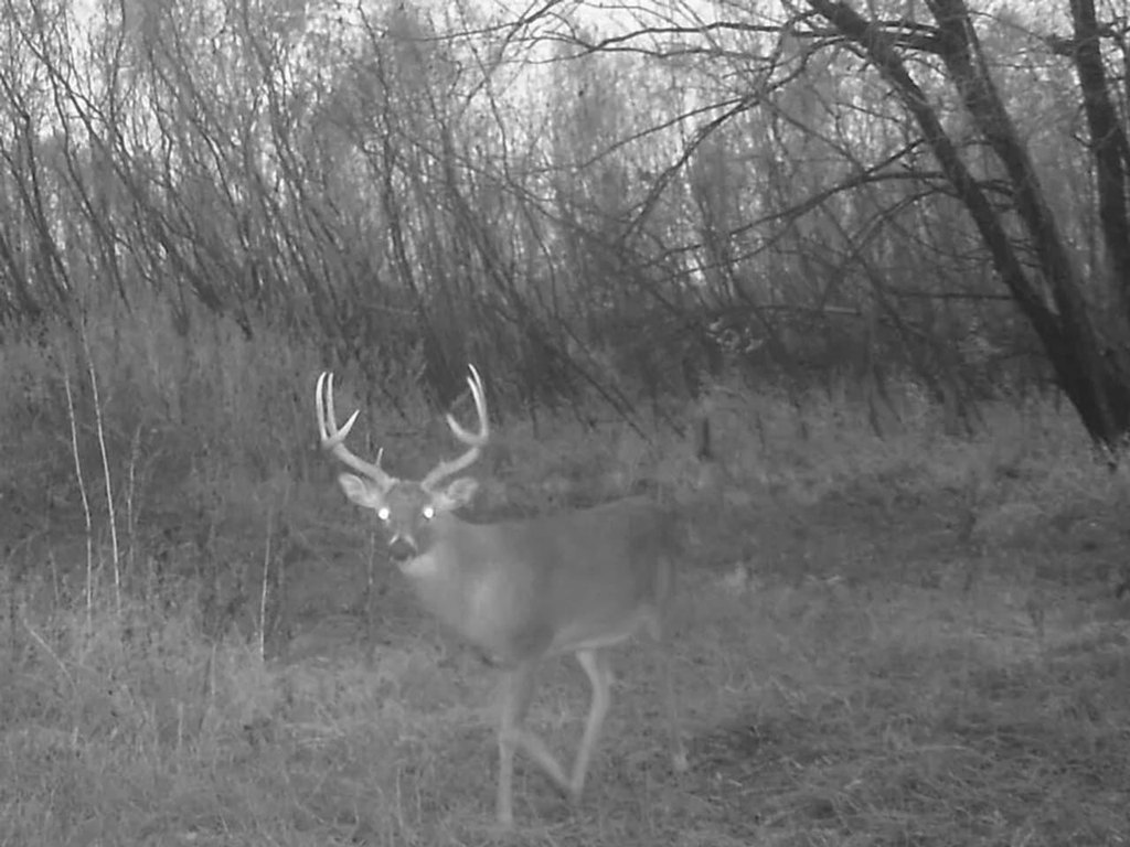 Picture 2