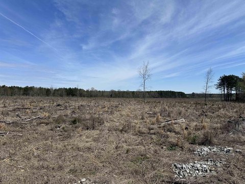 Acreage - Monticello, AR