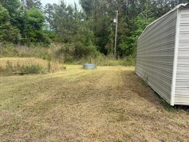 Picture 12