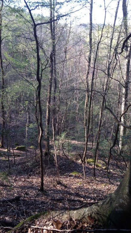 Picture 6