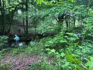 LAND - Cumming, GA