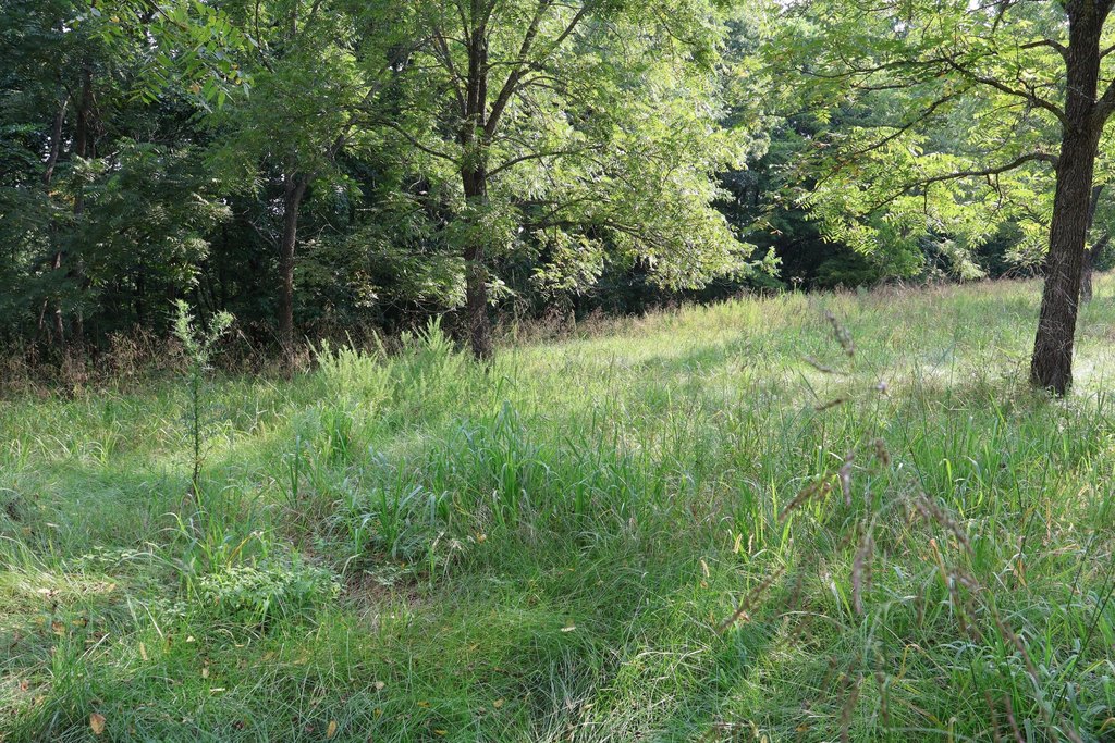 Picture 31