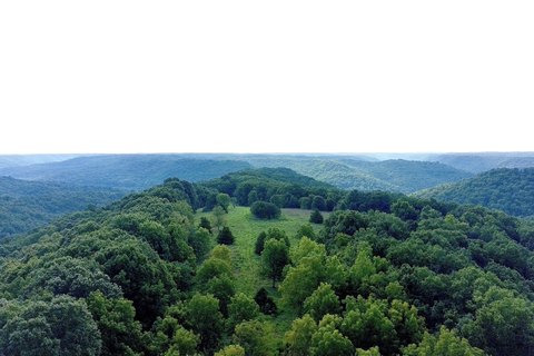 LAND - Ozark, MO