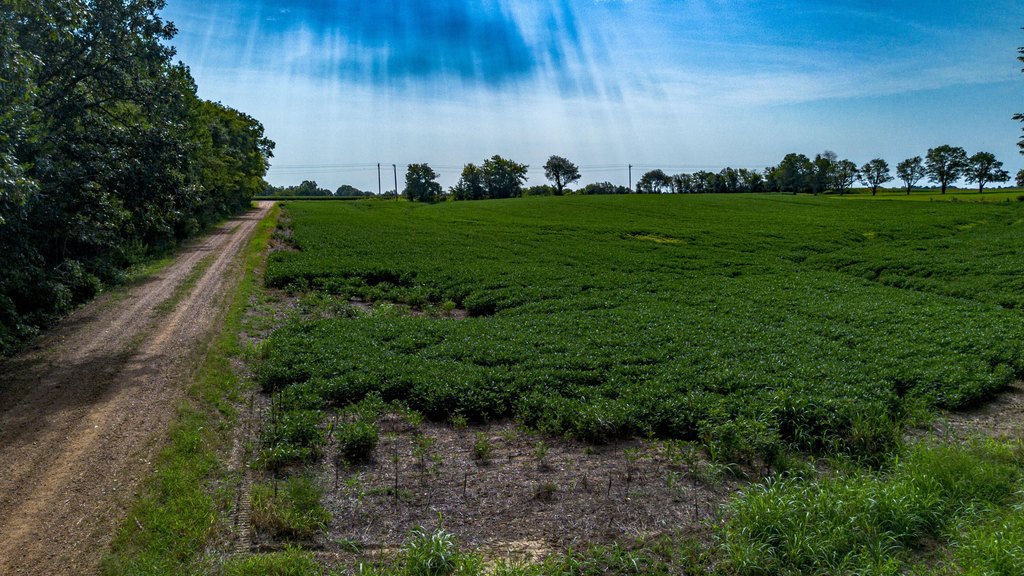 Picture 27