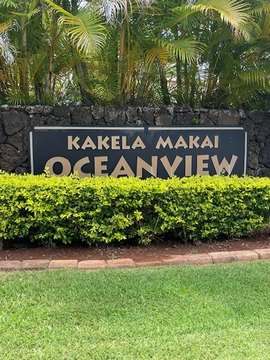 LAND - Kalaheo, HI