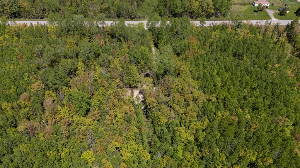 Picture 18