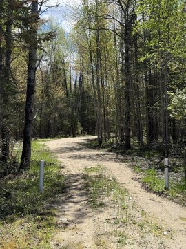 25 Acres Wooded Land Parcel
