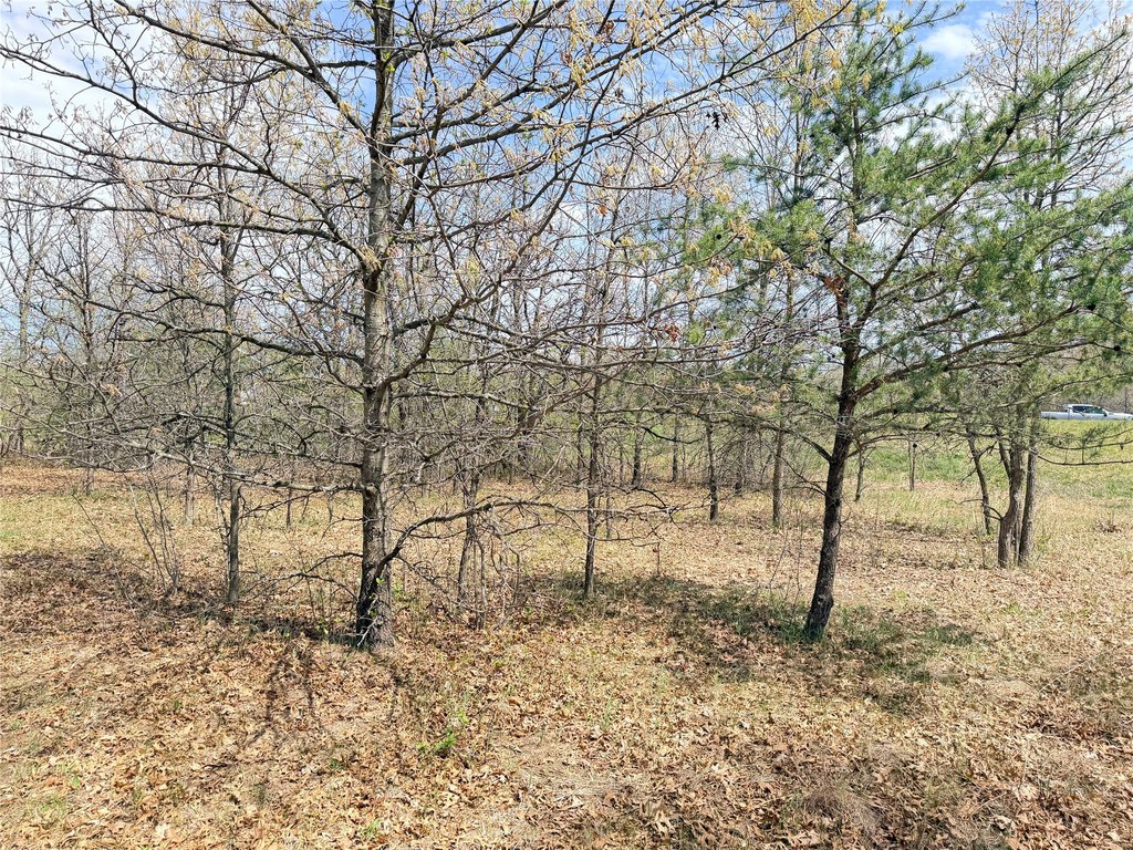 Picture 19