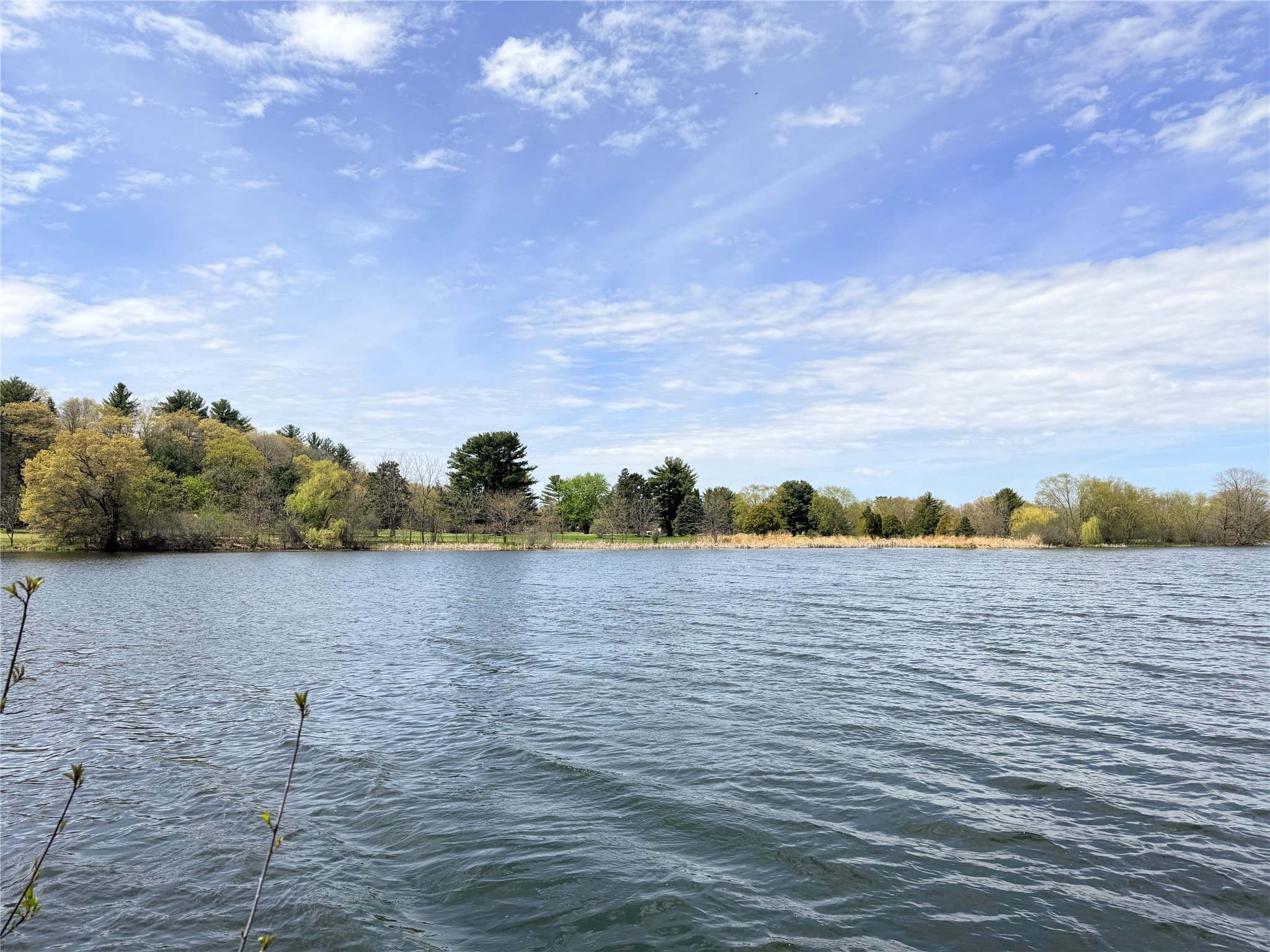 Lake Hallie Lakeside Building Site