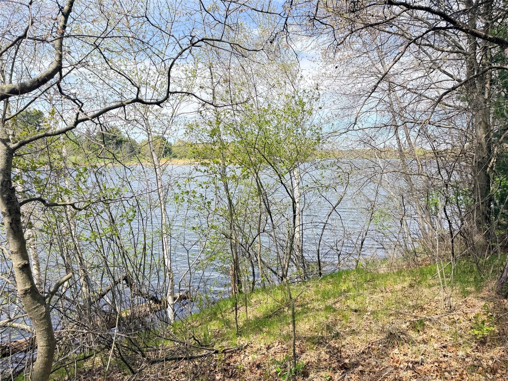 Picture 24