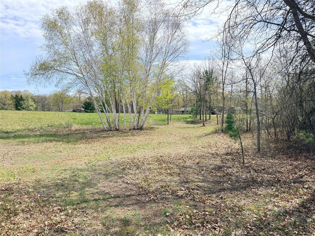 Picture 18