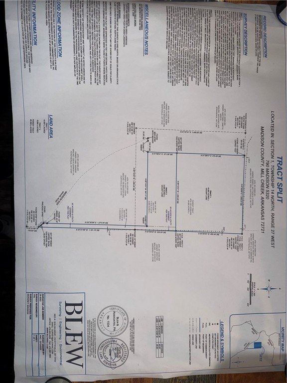 Picture 5