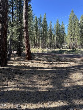 Vacant Land in Chiloquin, Oregon