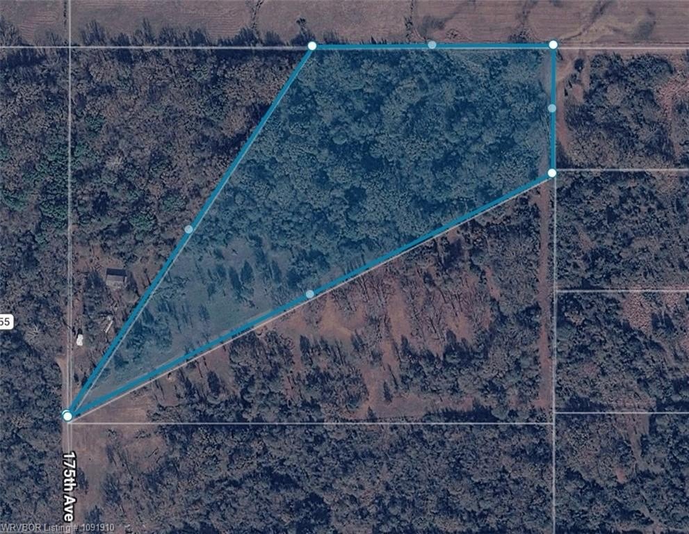 Picture 5