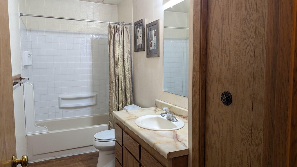Picture 7