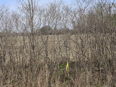 Buildable Hobby Farm Parcel