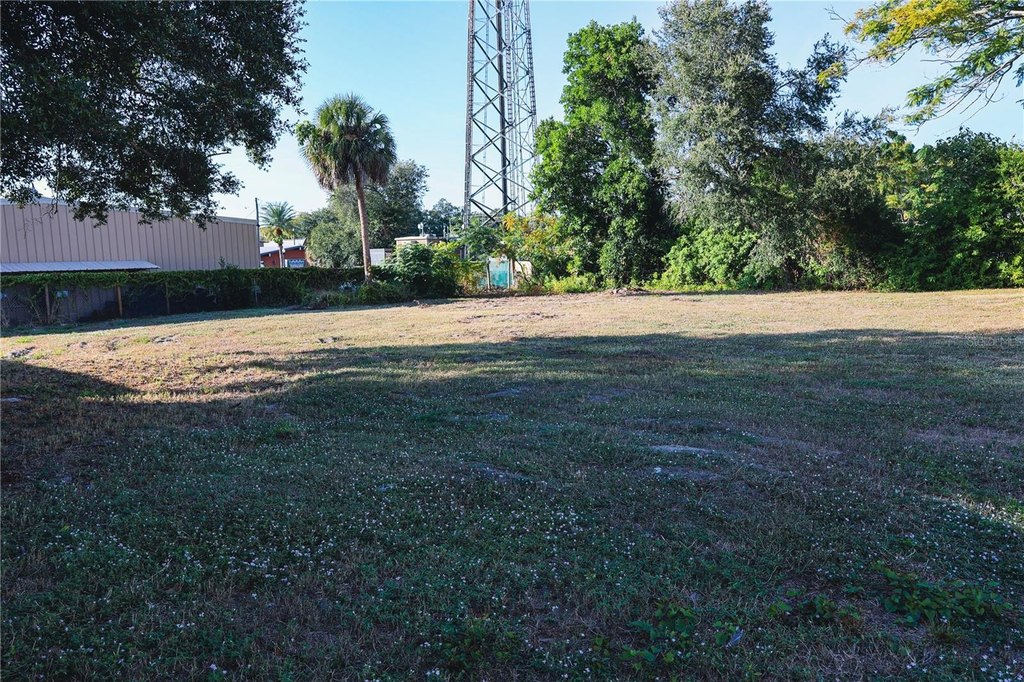 Picture 21