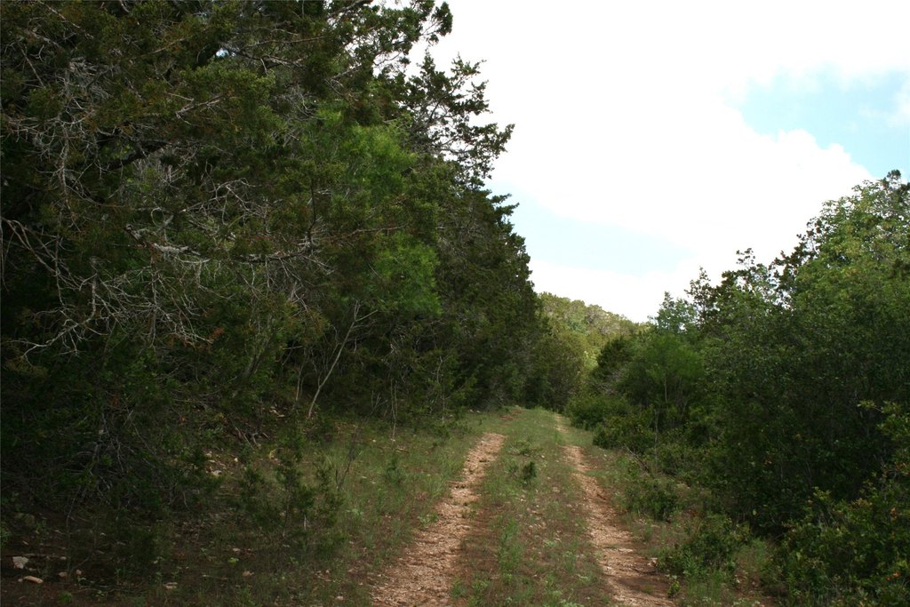 Picture 7