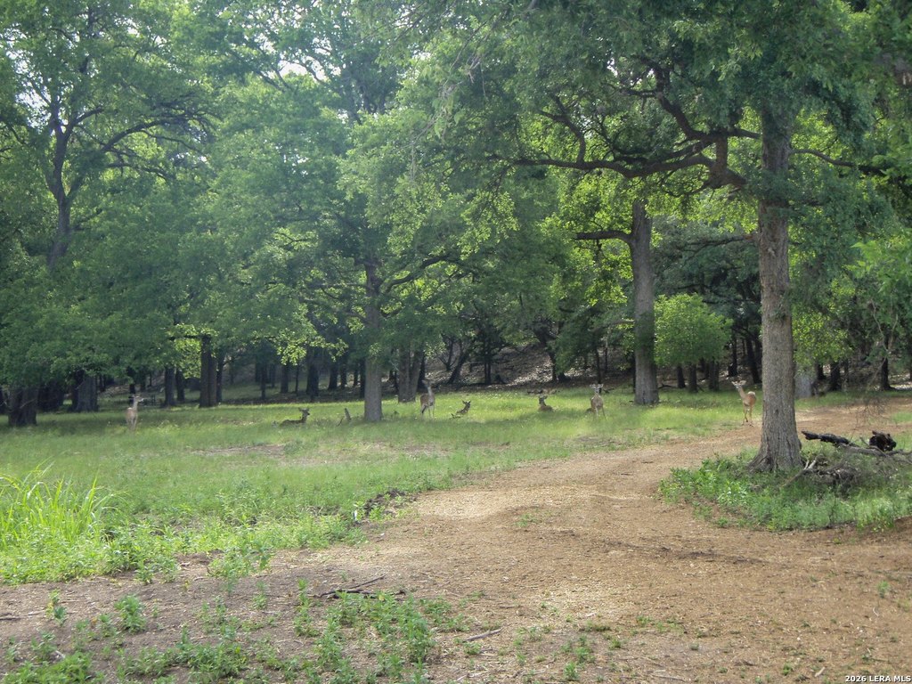 Picture 23