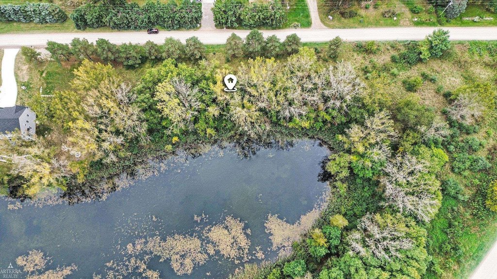 Picture 3