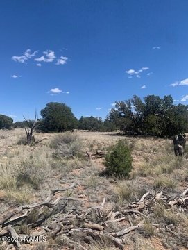 Land, Williams, AZ