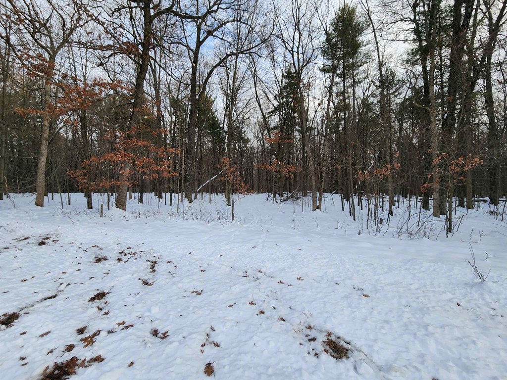 Picture 8