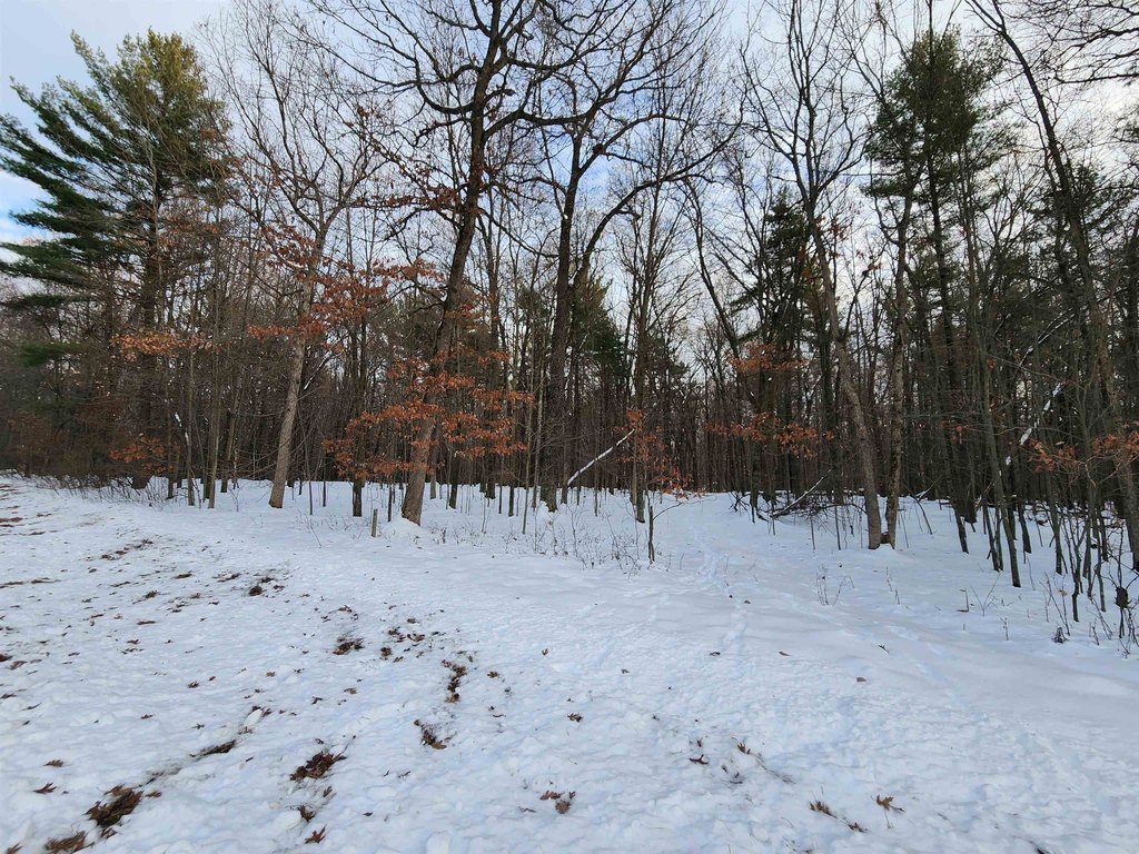 Picture 7
