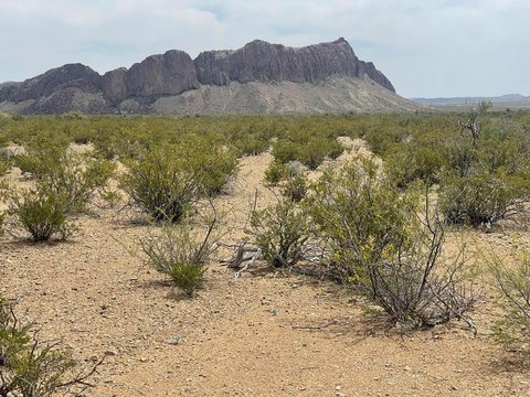 Terlingua Land with Scenic Views