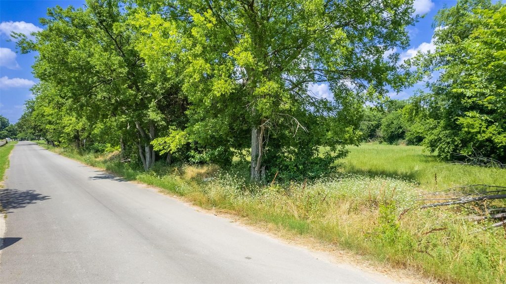 Picture 21