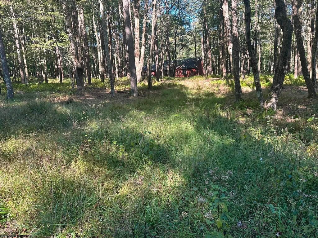 Picture 5