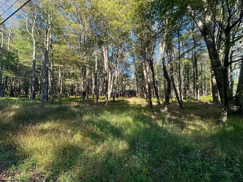 Lots/Land, Terra Alta, WV