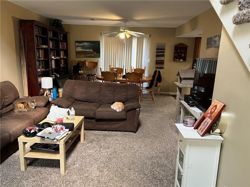 Picture 7