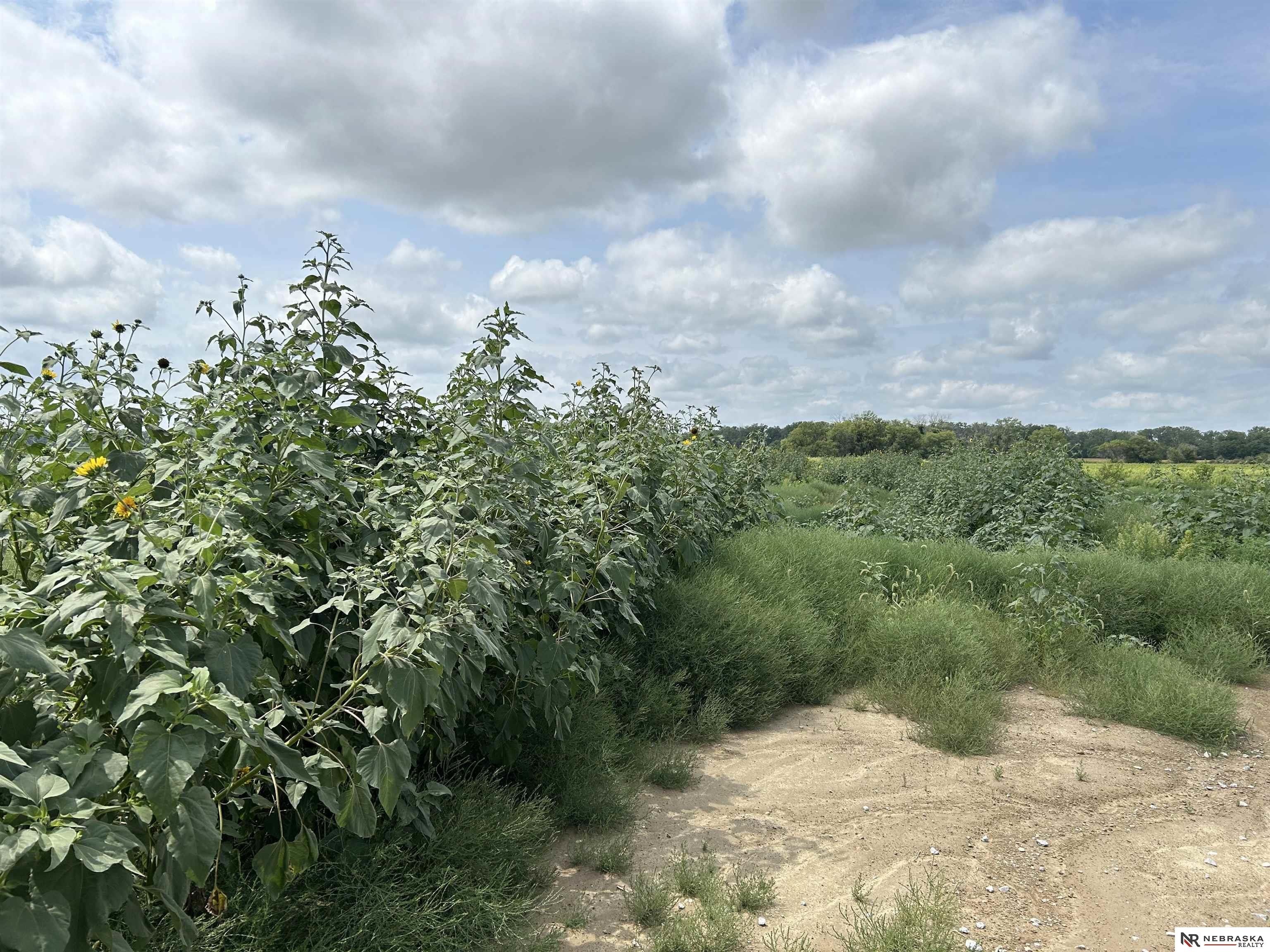 Gretna Agricultural Land Near River