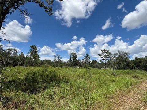 Land, DUNNELLON, FL