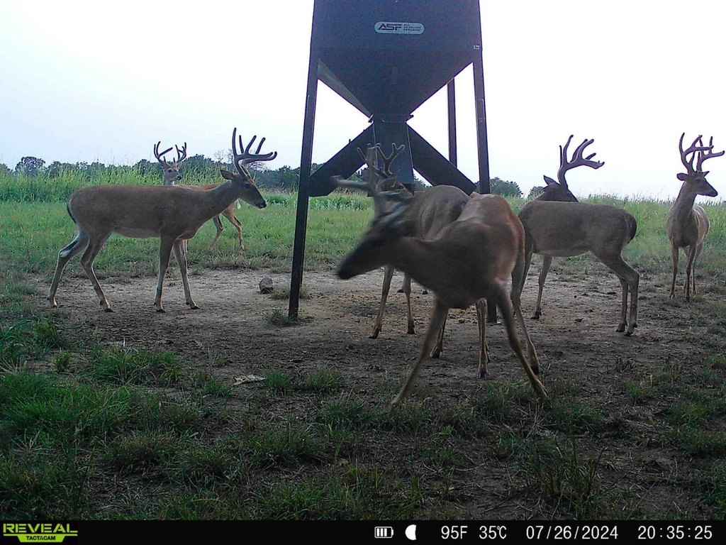 Picture 34
