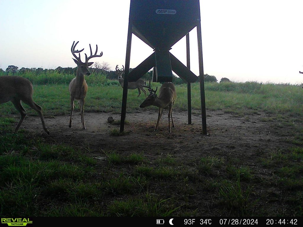 Picture 44