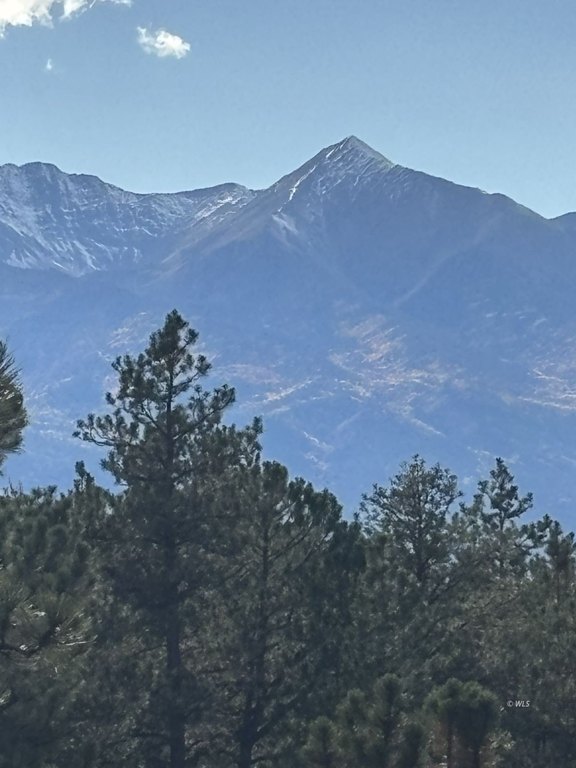 Picture 5