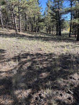 Vacant Land, Westcliffe, CO
