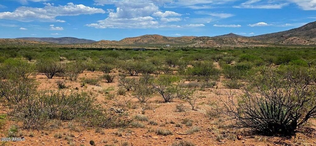 Picture 6