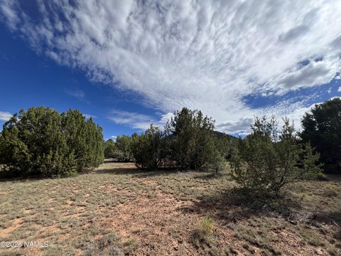 Land, Williams, AZ
